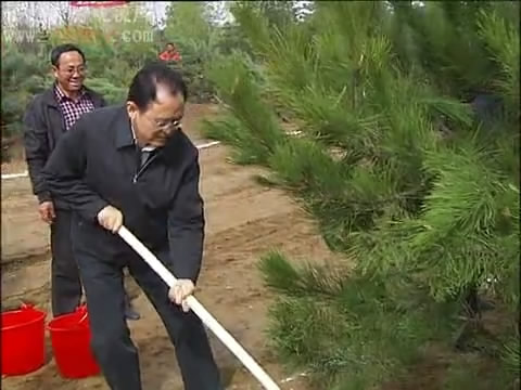 市委书记李俊明 市长郑连生带领机关干部 青年志愿者在九龙岗森林公园参加义务植树活动