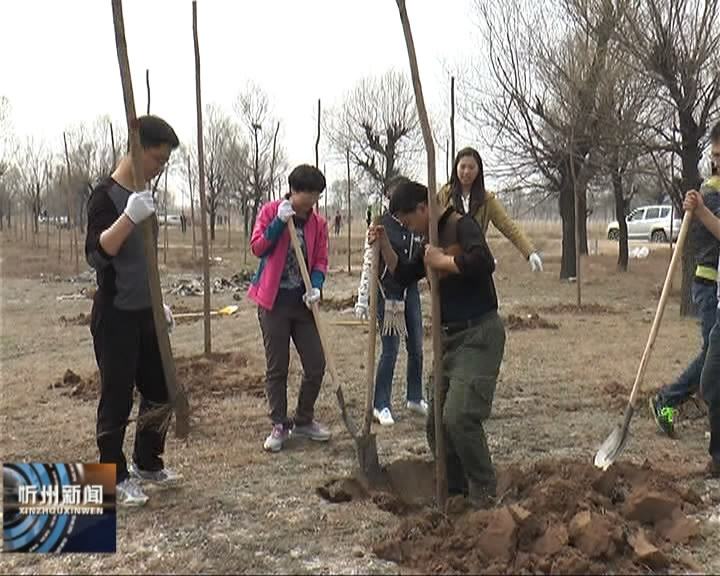定襄县开展春季义务植树造林活动​