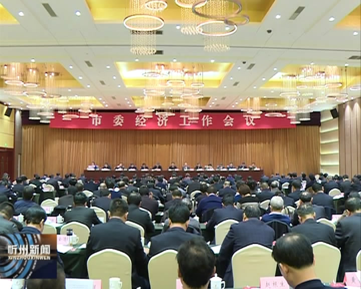 市委书记李俊明在市委经济工作会议第一次全体会议上作重要讲话​