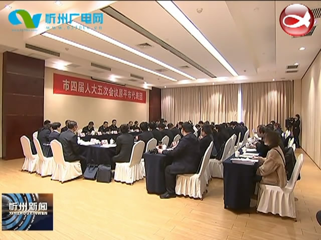 市长郑连生在参加市四届人大五次会议原平代表团分团审议​