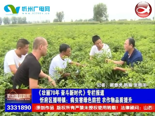 忻府区播明镇：病虫害绿色防控 农作物品质提升​