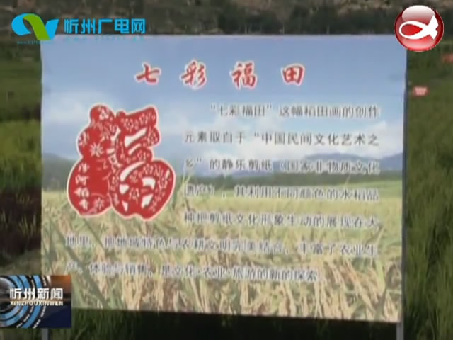 静乐五家庄村：杂粮迷宫剪纸画 创意农业开先河​
