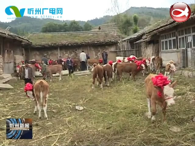 宁武北辛窑煤业公司：驻村帮扶兴产业 雪中送炭暖民心​
