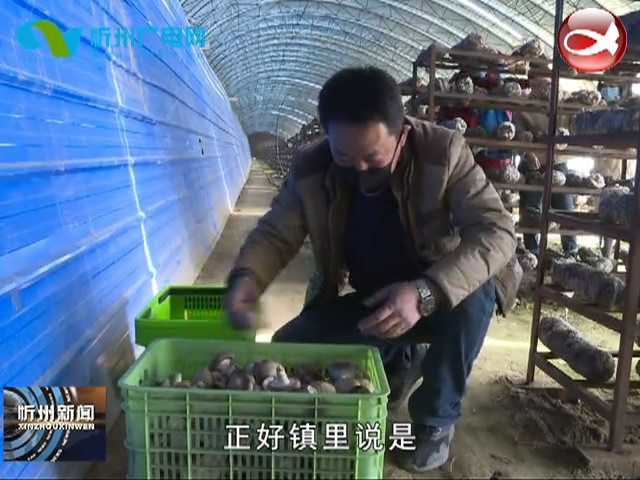 静乐杜家村镇：促进农产品销售 保障贫困户就业​