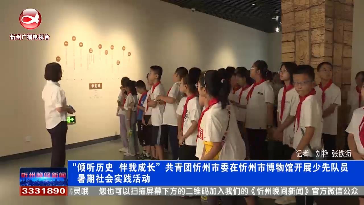 “倾听历史 伴我成长”共青团忻州市委在忻州市博物馆开展少先队员暑期社会实践活动​