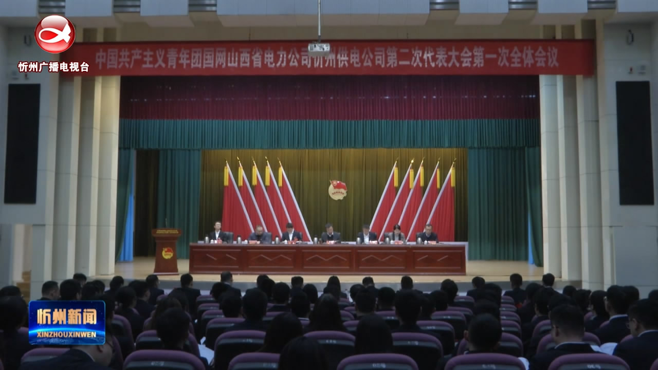 共青团国网忻州供电公司第二次代表大会召开​