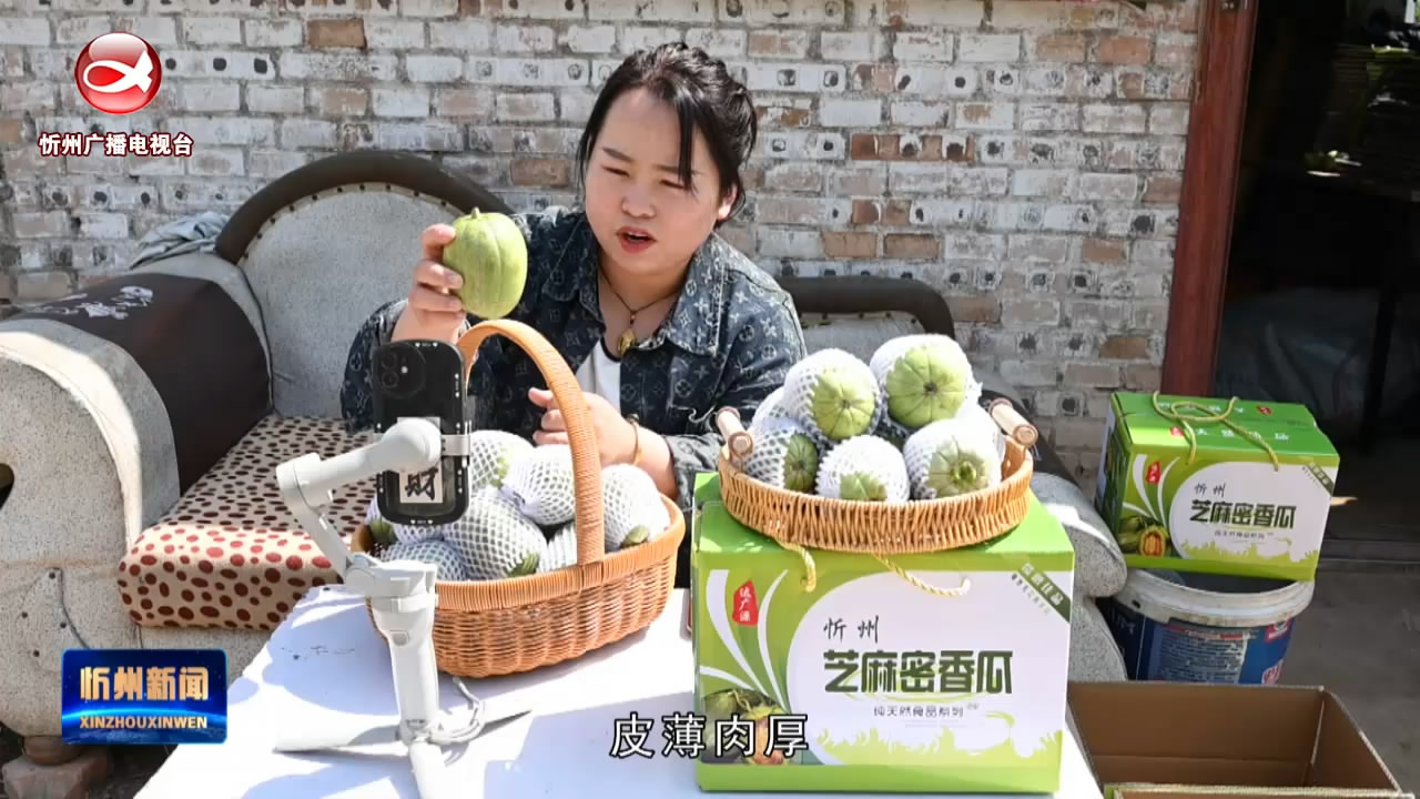 忻府区加禾村：芝麻蜜香瓜抢“鲜”上市   线上线下销售旺​