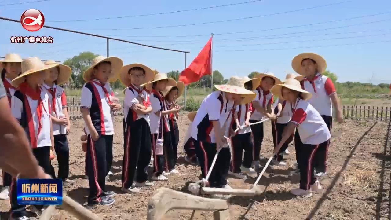 忻州市第十二中学龙岗小学举行庆“六一”劳动实践活动​