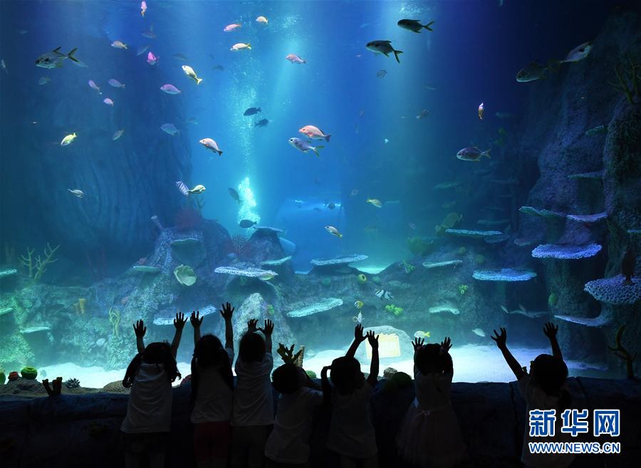 重庆海洋探索中心邀请市民参观体验